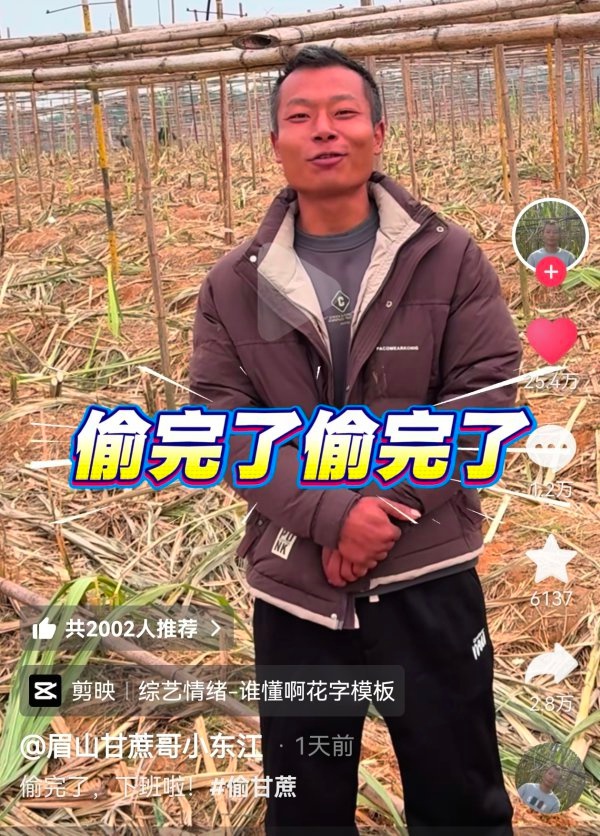 四川“自助偷甘蔗”老板回应“下班”:忙着清理“战场”，盈亏暂未计算