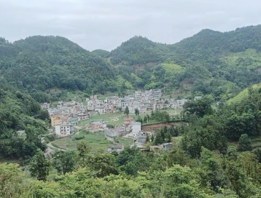 故乡情，老家的小山村，永远保留着我儿时的记忆，还装载着我这一生中最真的温情。
 