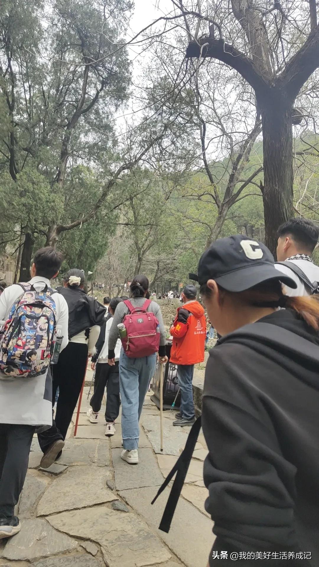 爬泰山后遗症，全程腿着，走了大概3万多步。今天上班小腿肚子还有些疼。
爬后第一天