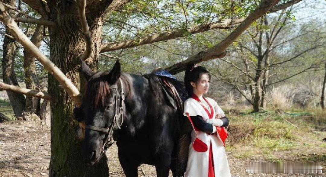 少年歌行2等了四年终于开拍少歌2给我安排原班人马 等《少年歌行之南明离火》等得头