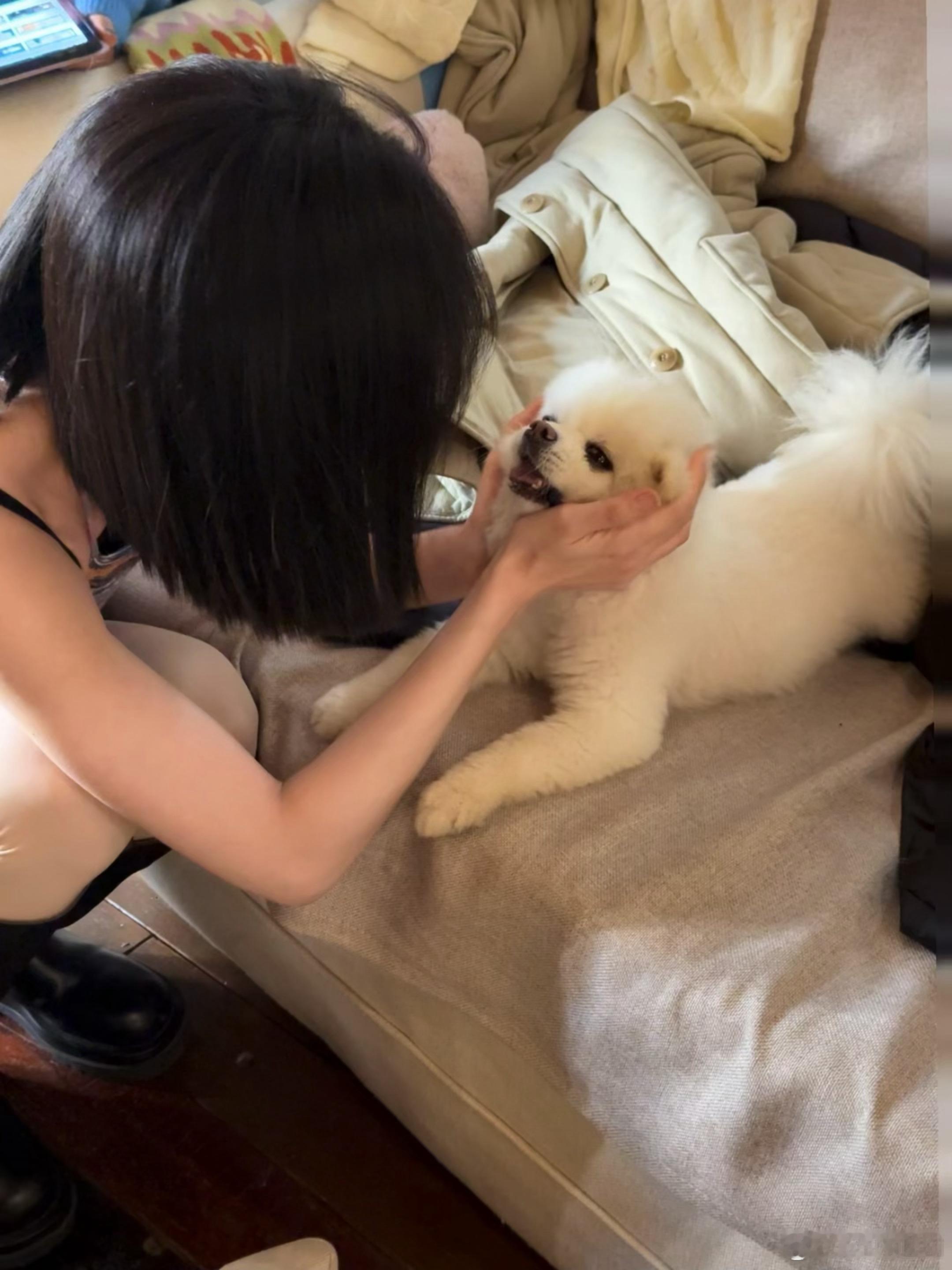 孟子义工作生活碎片大分享   孟子义工作生活碎片  孟子义在工作中的团队协作画面