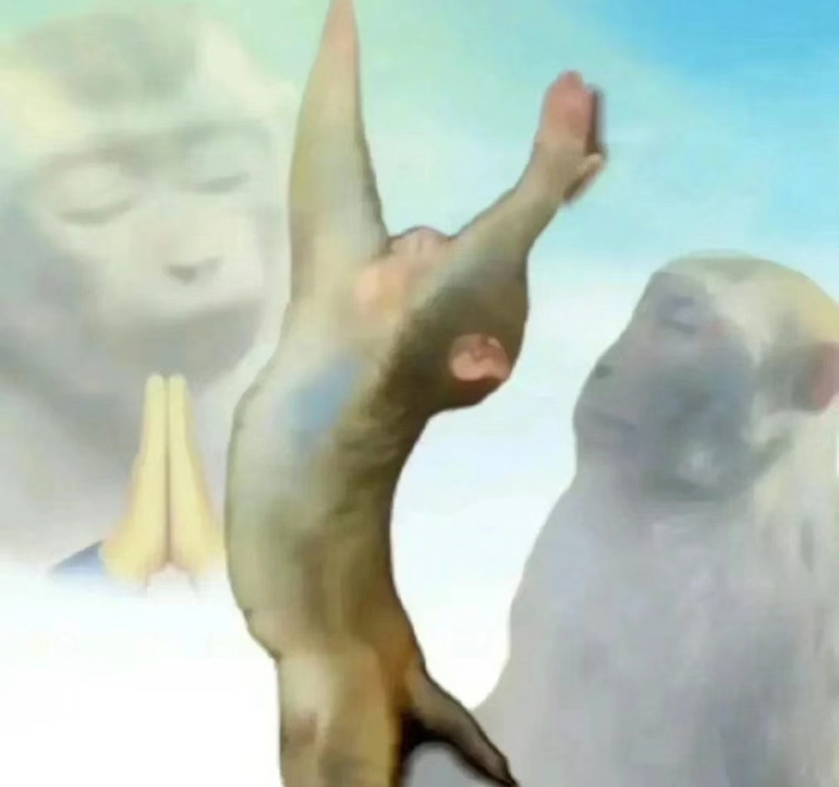 感觉自己已经过了非要什么不可和非去哪里不可的年纪了，得到最好 没有也可以……不过