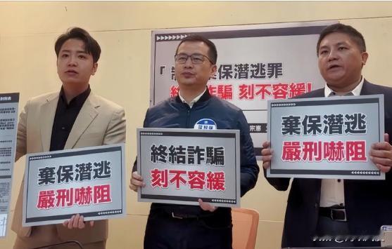 勤奋的罗智强不等开议就上工，今联合三民代召开记者会要打诈！
罗智强17日在脸书以