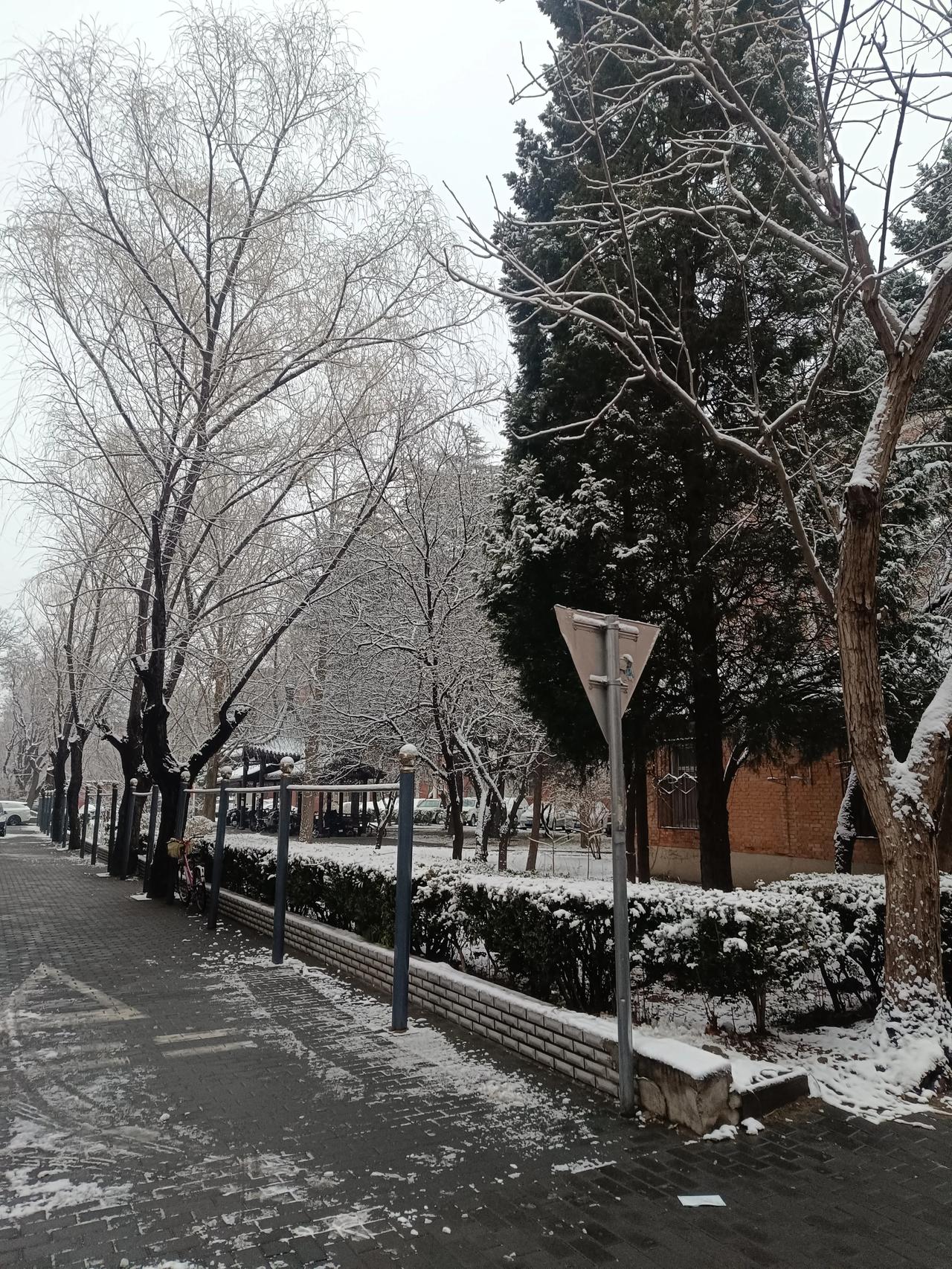 这正月里还没出呢？已经下了好几场雪了啊，真的是太棒了啊，瑞雪兆丰年啊，今年的庄稼