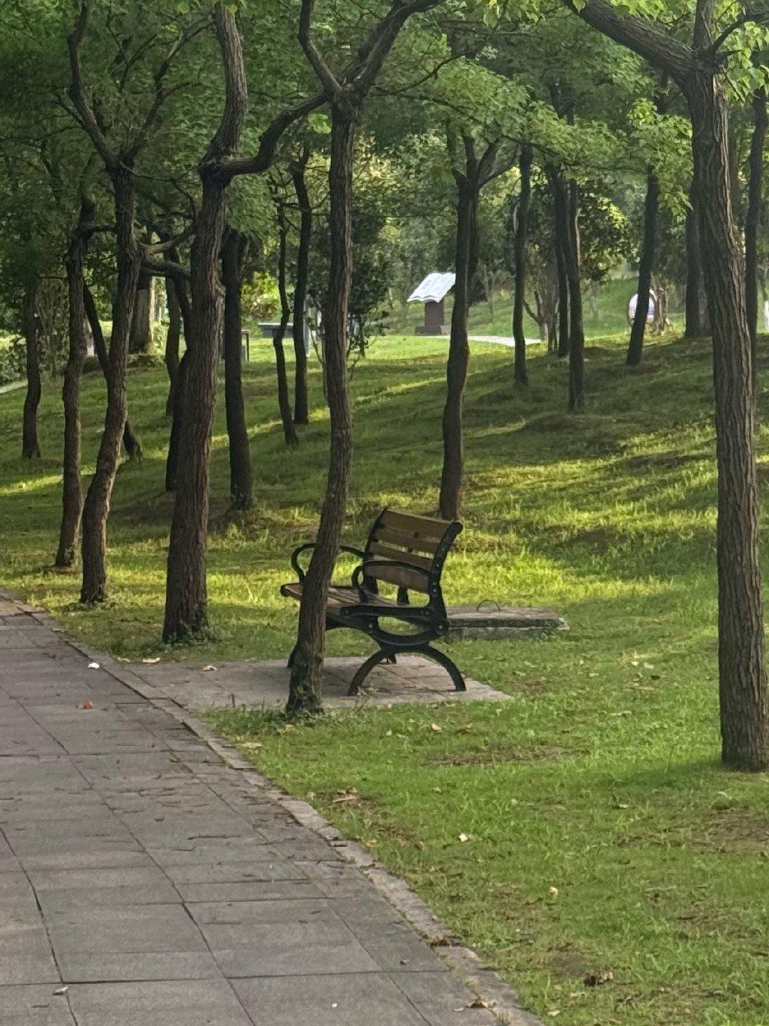 今天刷到一个视频，突然对“委屈感”这件事有了新的理解。很多时候让我难受的，未必是