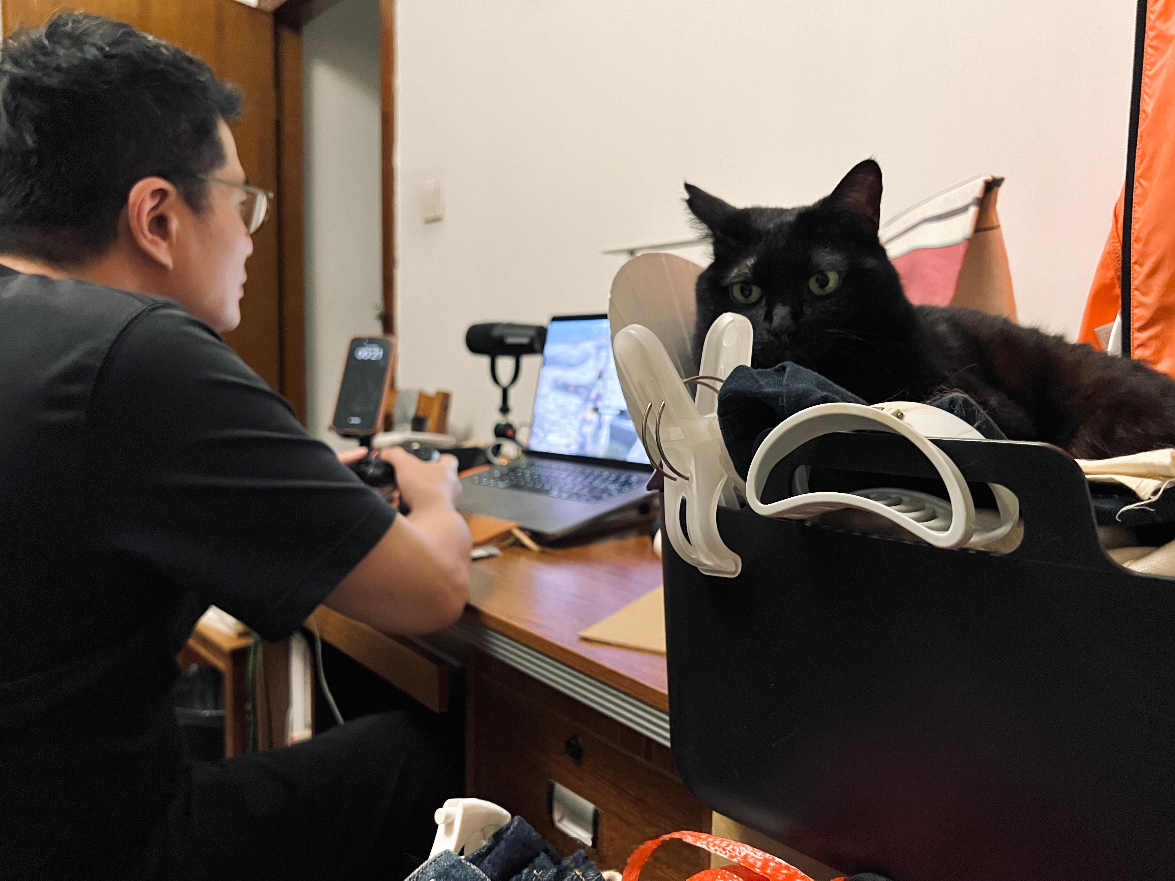 小黑比的新據點😌蝦蝦不可以太可愛 ​​​