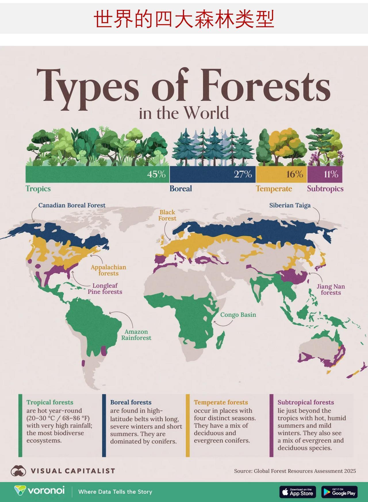 世界的森林有四大类型，哪种类型森林面积最大？

森林覆盖了全球近三分之一的陆地面