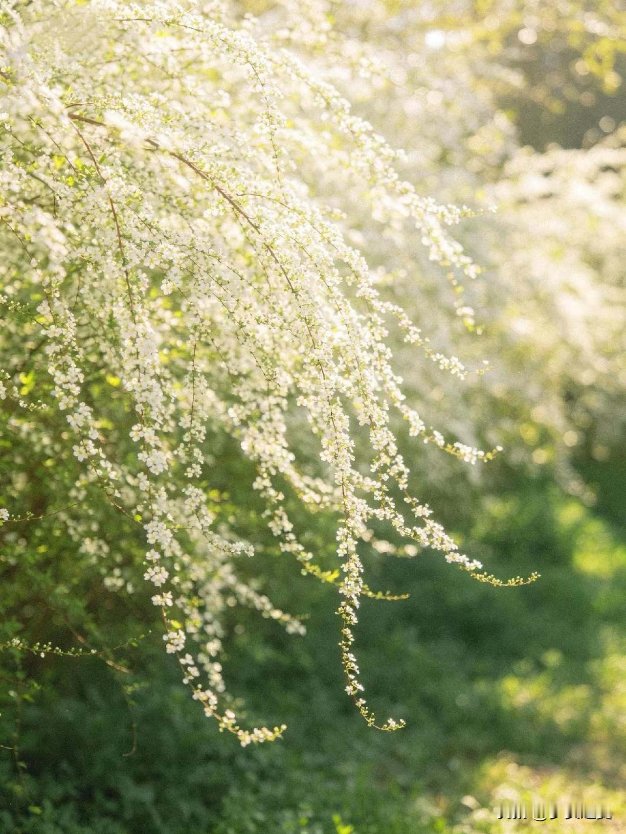 【小对联】
上：……？
下：洋行。