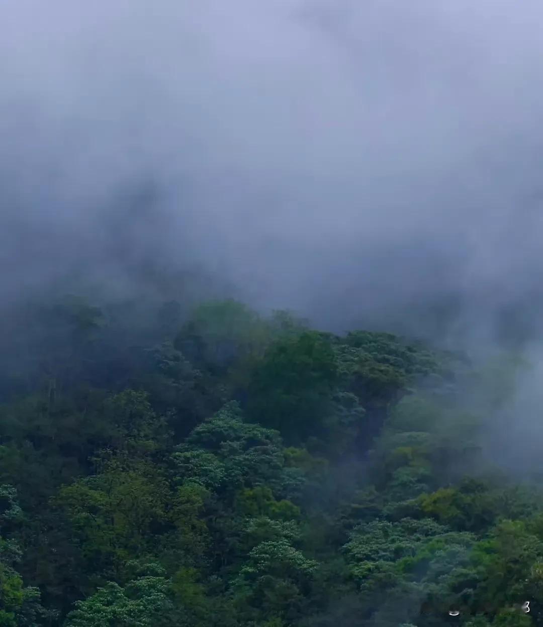 喝过春茶，才是春天！
把整个春天，酿成一杯茶。

这个时节真的是春茶生，万物荣啊