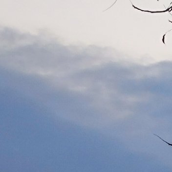 ❤️每日一善❤️阳光信用一切都是为了阳光信用 毕竟好久都没怎么涨了 一起保护大自