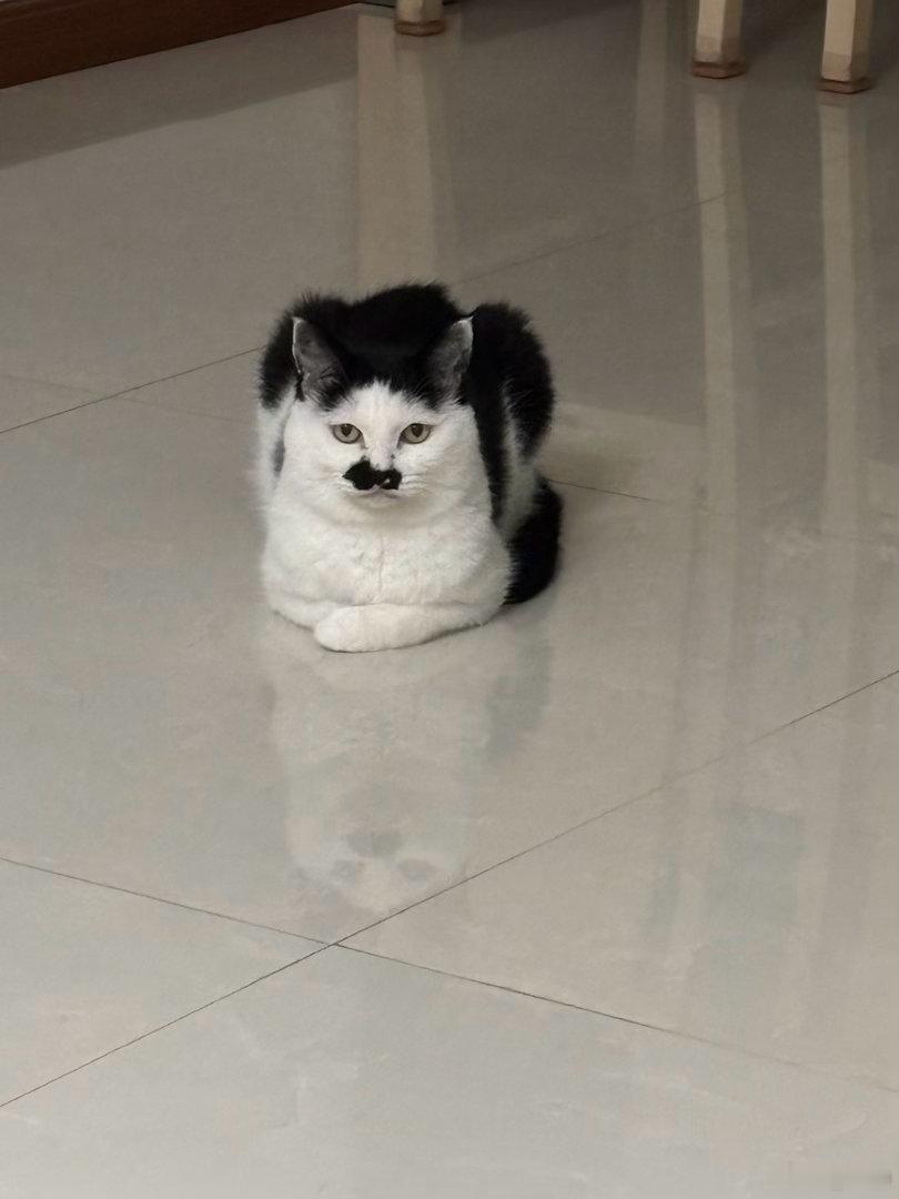 一脸严肃 