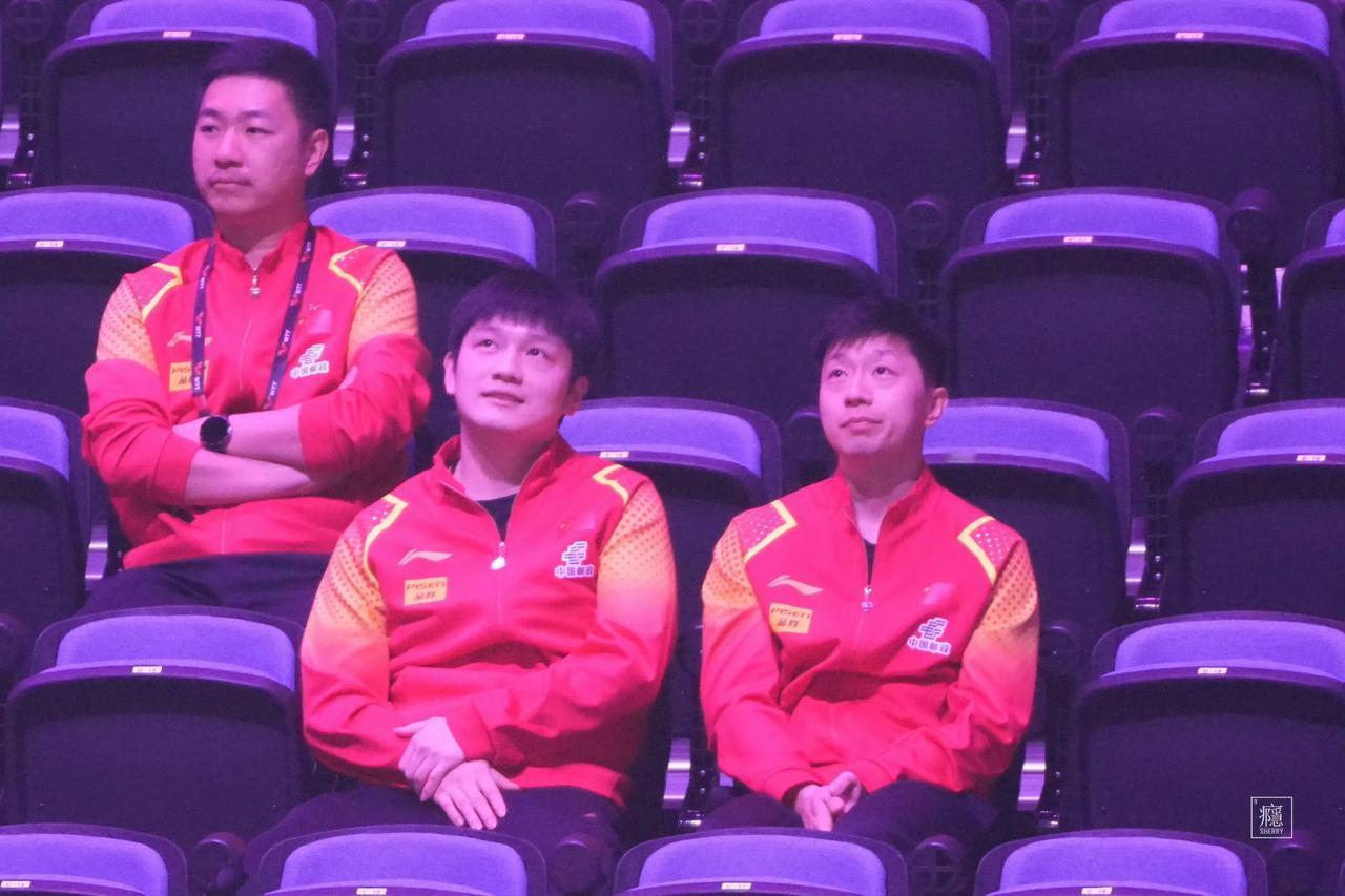 樊振东，马龙 陈梦 王艺迪，出现在决赛看台上，他们注视着队友，给她们加油

孙颖