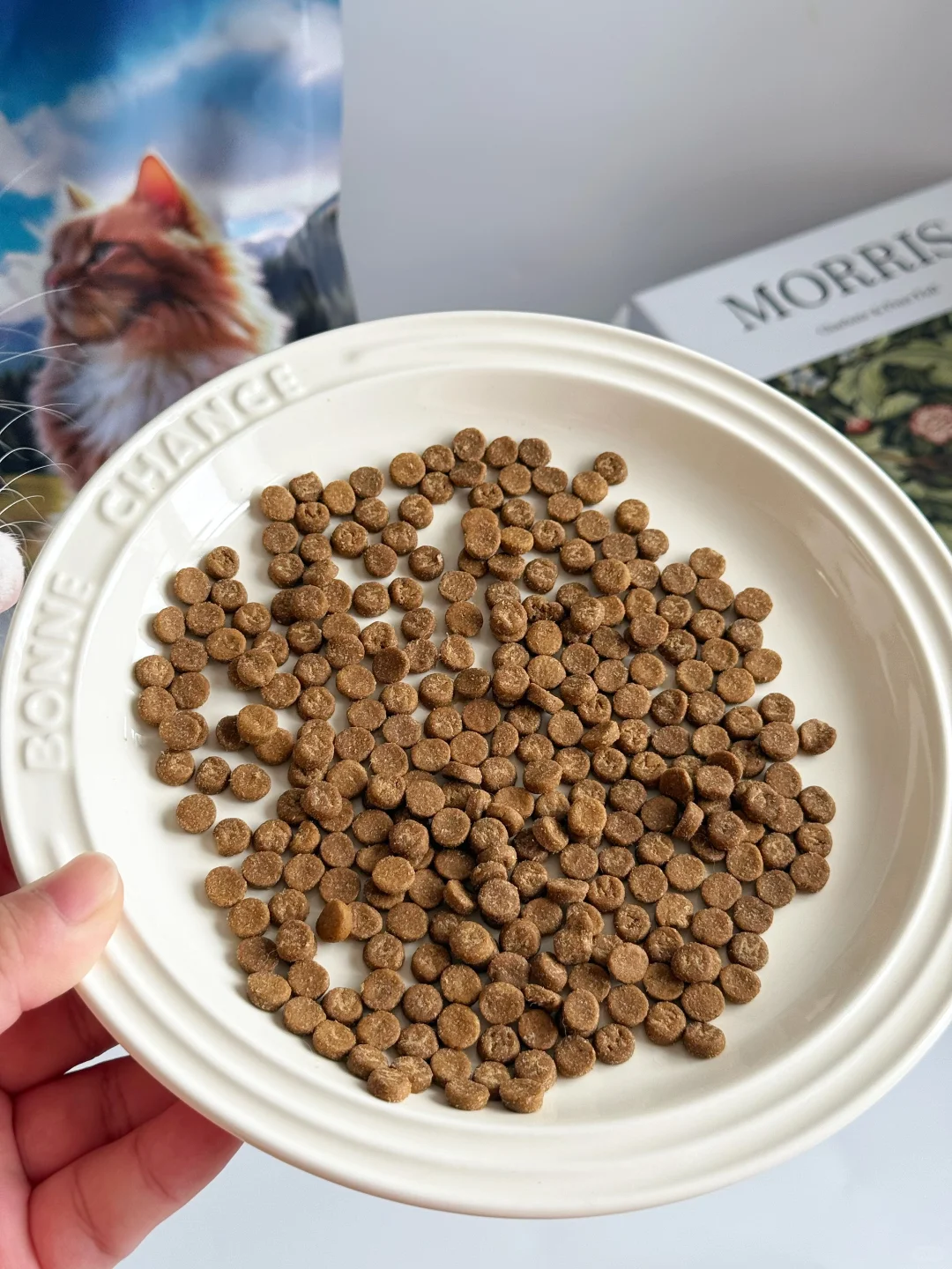 猫掉毛少了！换粮后毛顺到rua不够