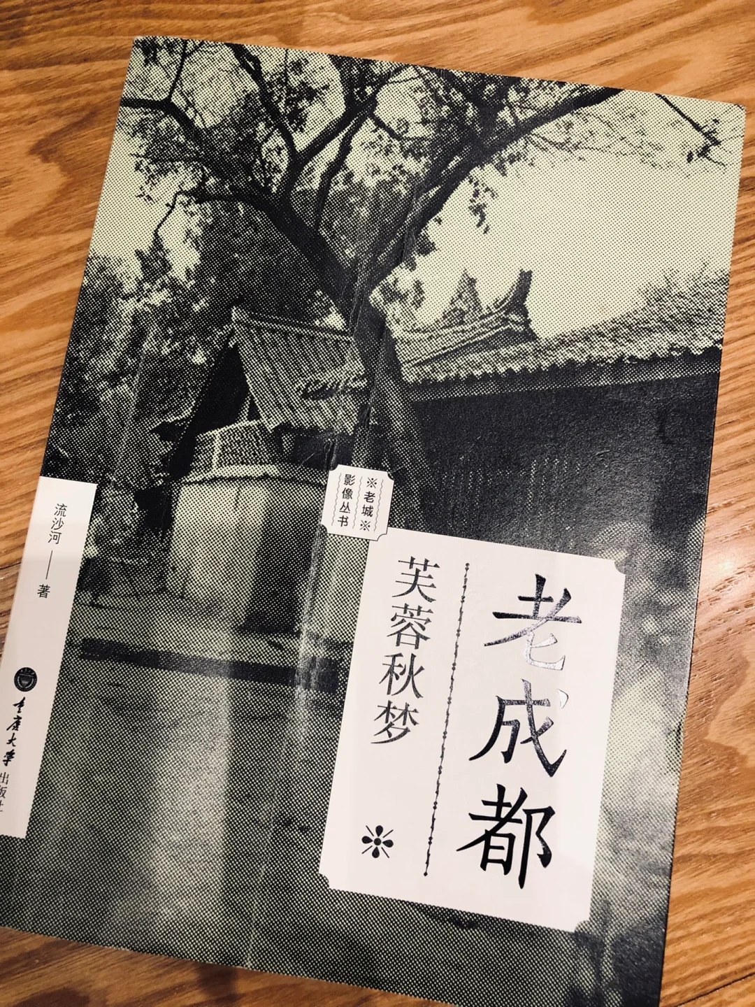 老成都｜芙蓉秋梦 民国市井风物
