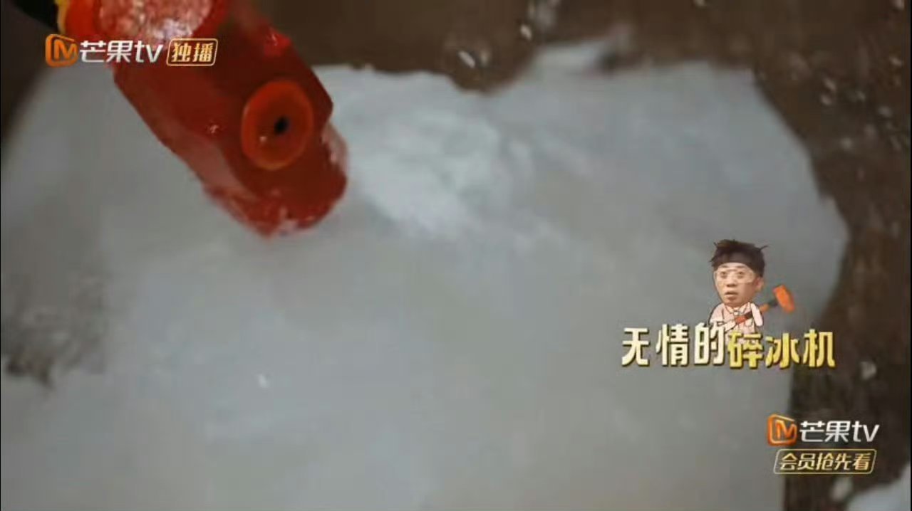 杨迪春晚八十的基因动了忙忙碌碌寻宝藏上一季杨迪还是青山村管家，温温柔柔给大家安排