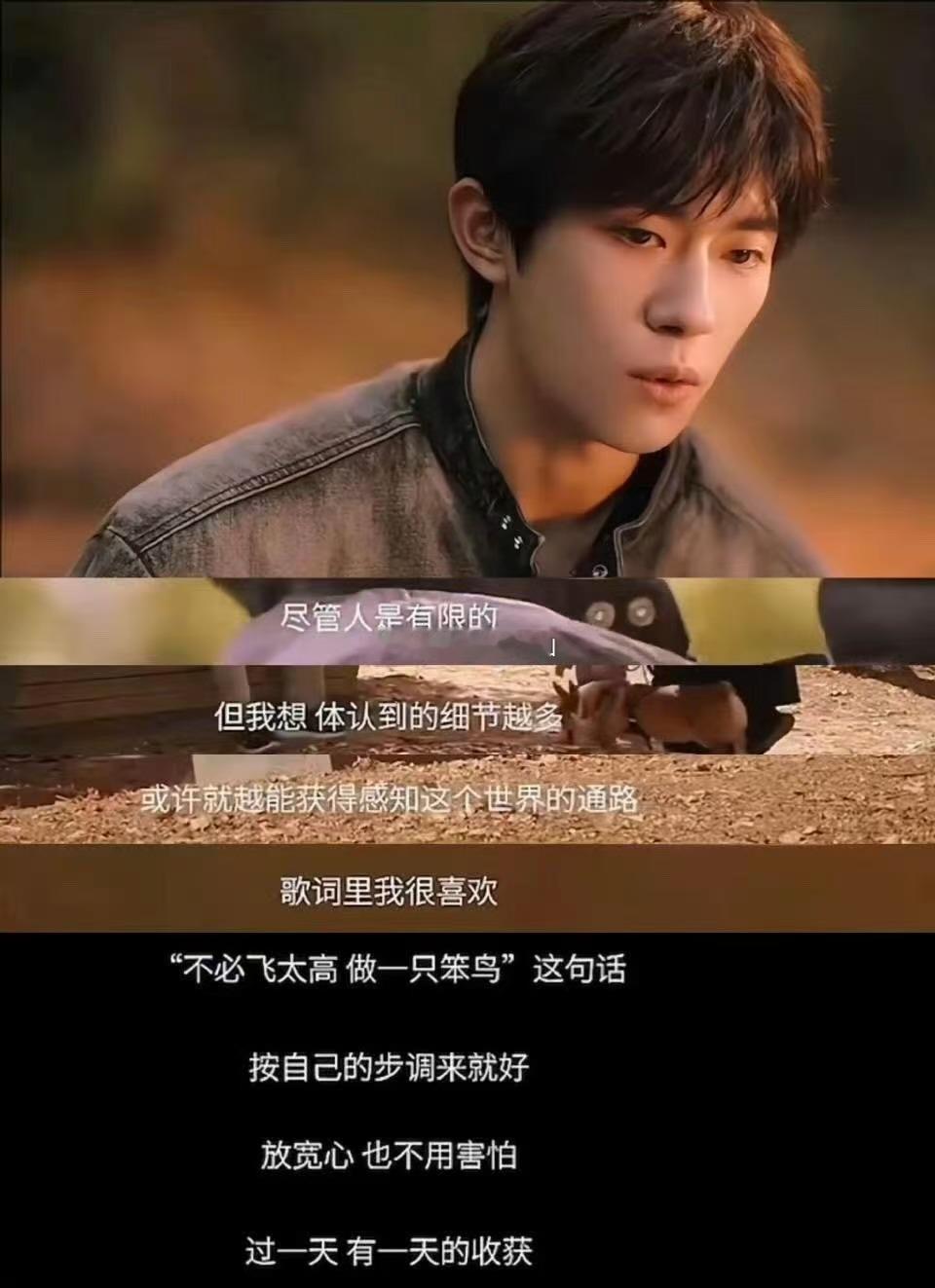 家人们，看到易烊千玺说慢慢来挺好 的时候，我心里一下子就感觉特别踏实。在这个啥都