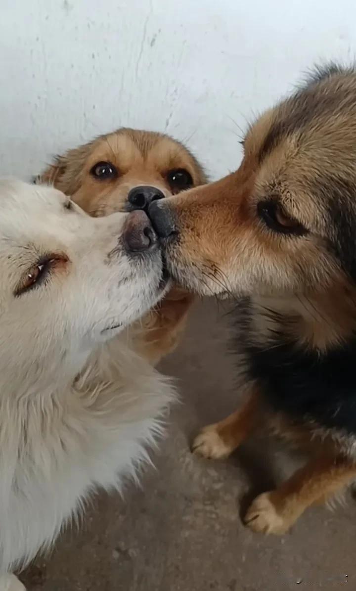 你们三个是在拍燃冬吗[看]