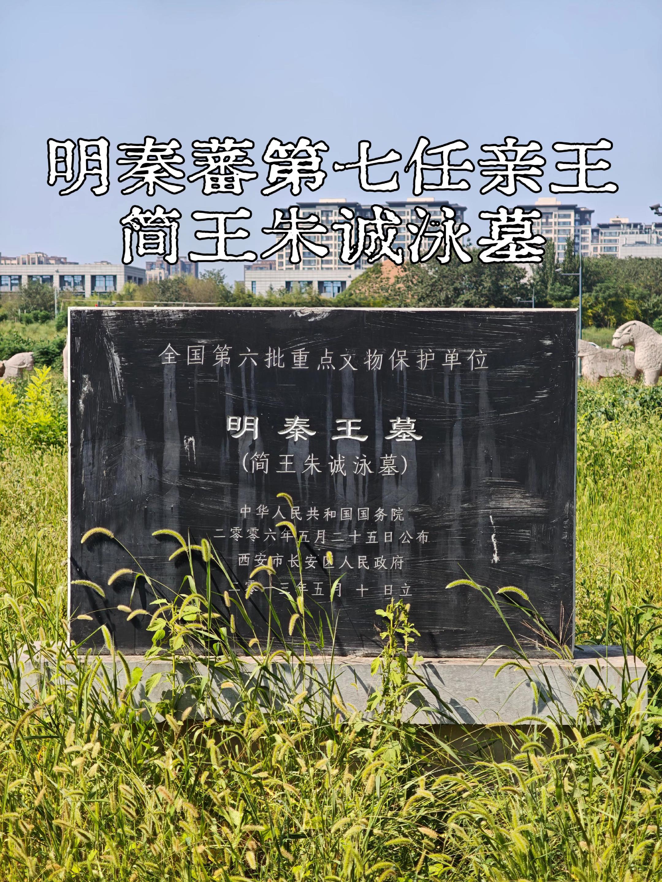明太祖五世孙·秦简王朱诚泳墓。秦简王墓位于西安市长安区韦曲街道简王井村...