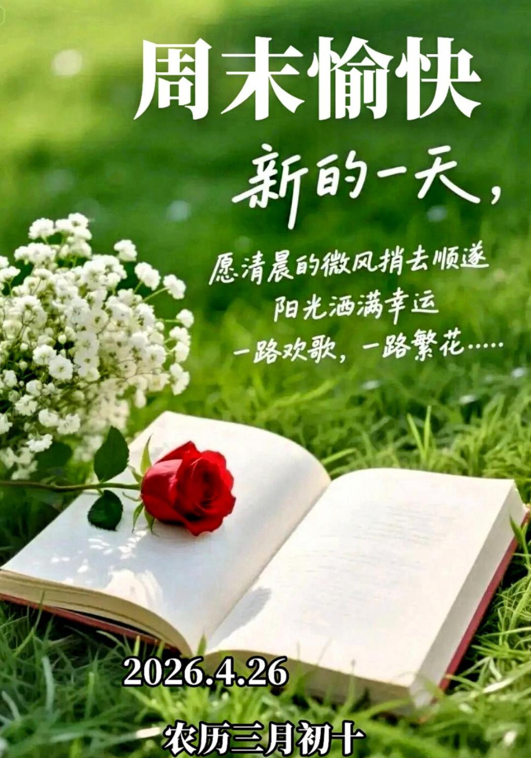 早上好！迎接清新早晨，拥抱惬意周末！愿我们共享静好，喜乐长留心底。祝你开启舒心美