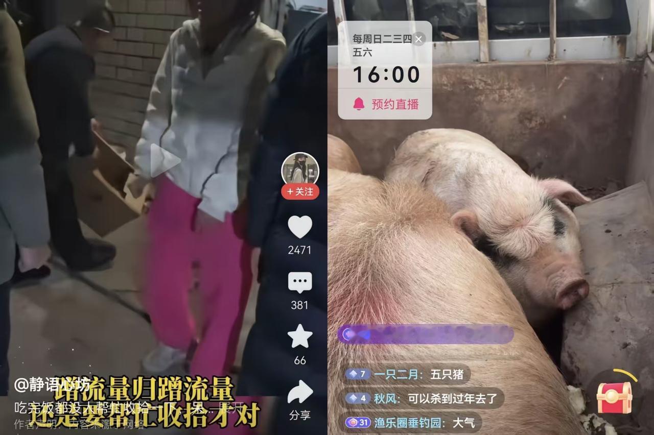 完了，呆呆彻底呆了
1月12日，呆呆家刨猪汤彻底“失控”！博主哭着发视频求大家止