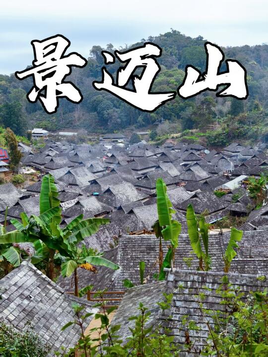 景迈山｜各村寨特色介绍