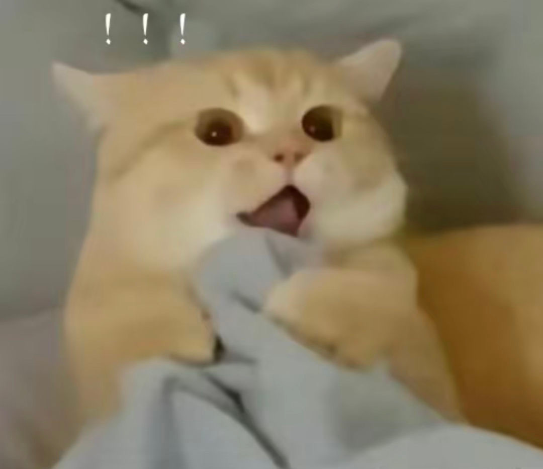 傻喵们[喵喵]#表情包[超话]##猫咪表情包[超话]##沙雕表情包[超话]# ​