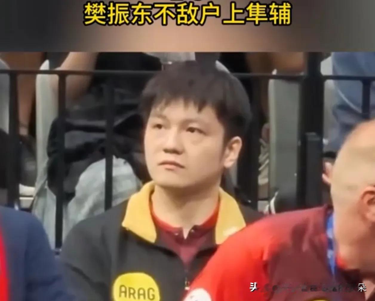 樊振东德国杯一轮游！独砍1胜难救主，决胜局11-13惜败户上隼辅

北京时间8月