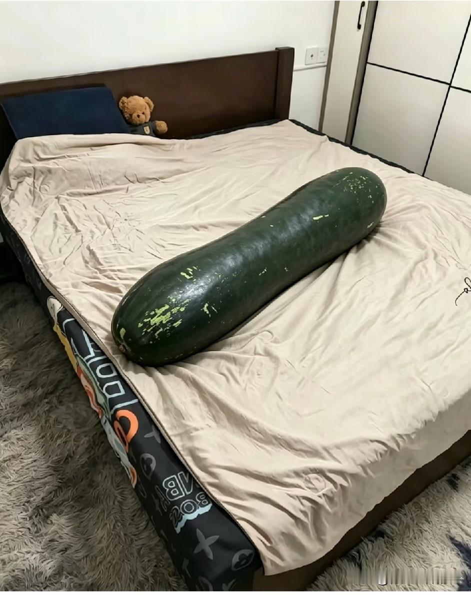 据说这个东西可以避暑，搂着睡觉，想着这是冬天的瓜，故名“冬瓜”，就凉快了。第二天