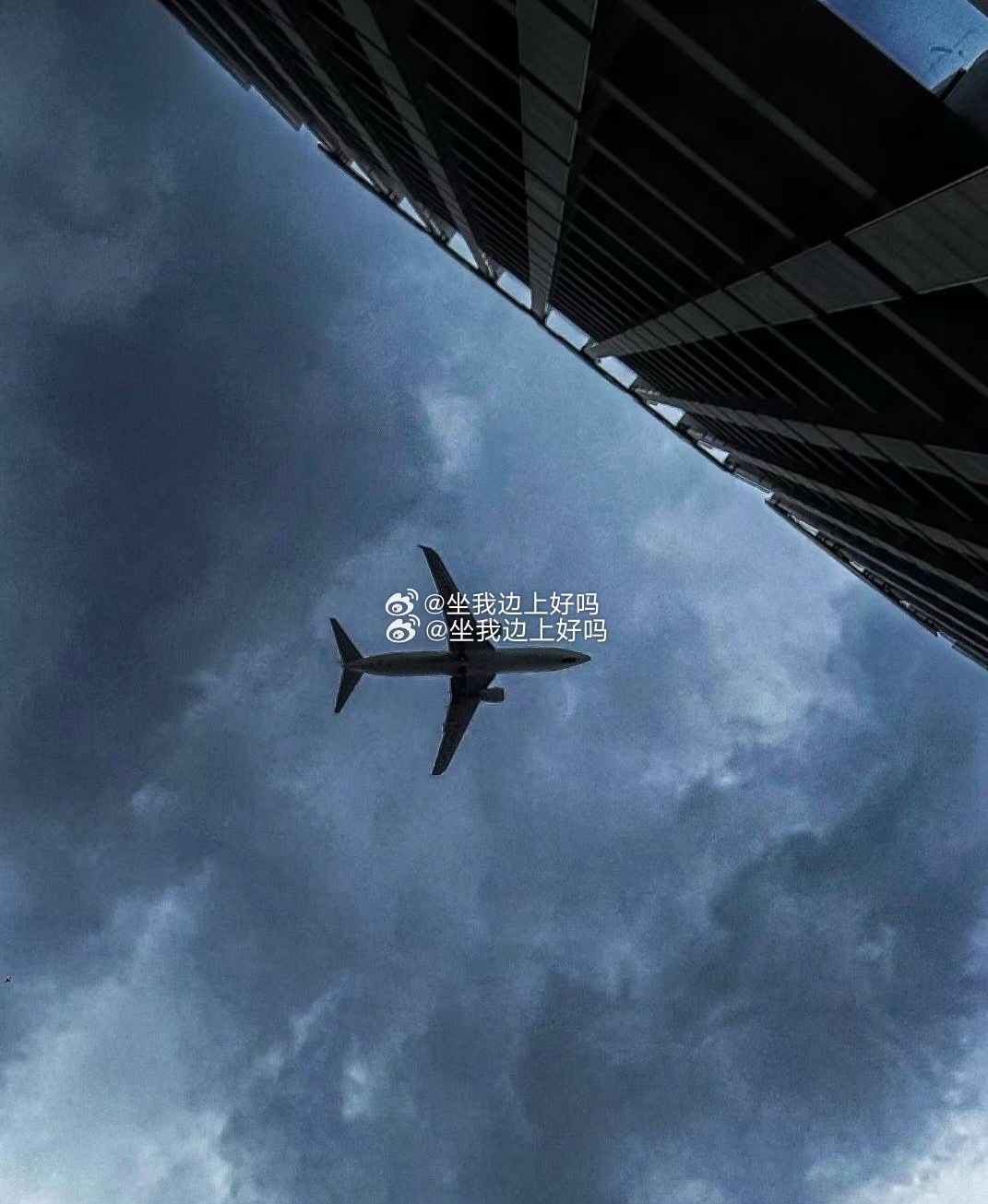 0913｜看 好大的✈️ ​​​