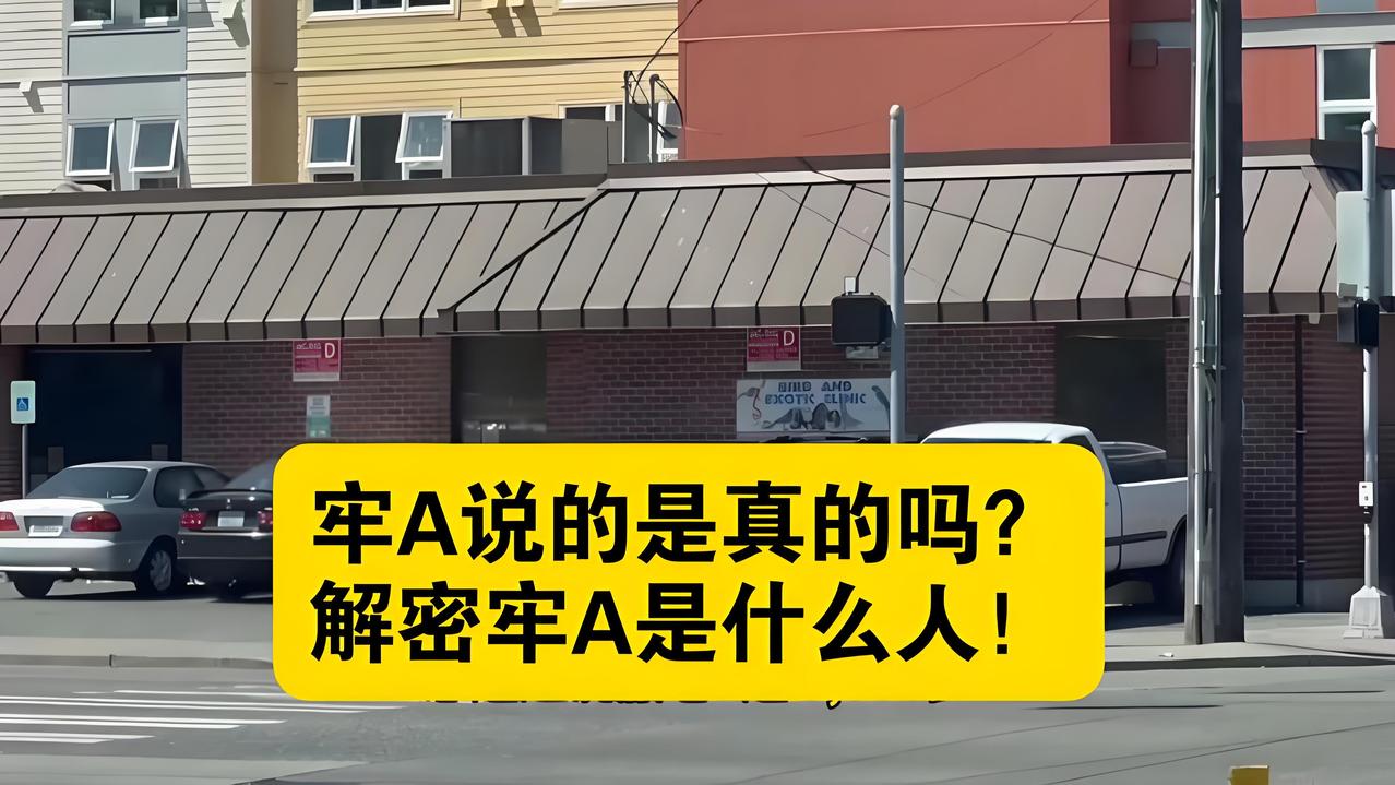 牢A眼中的美国白领，都是一头一头待宰的羔羊。为什么这些人，只用半年，就会成了牢A