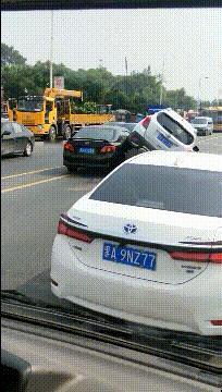 自从白车看了狗子撒尿后  看见车就想抬一下轮胎 ​​​