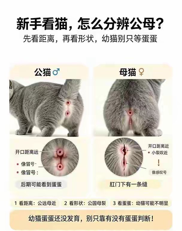 不是看蛋蛋吗？[费解] ​​​