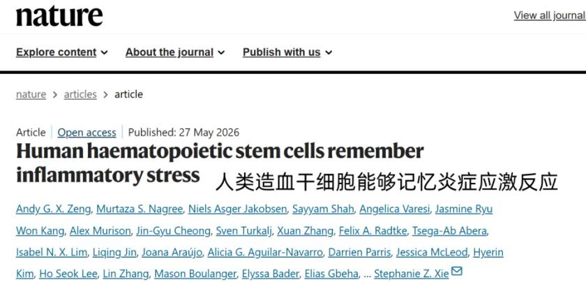 身体可比你记仇多了！

哥伦比亚大学最新研究实锤：急性炎症就算退了，免疫系统也会