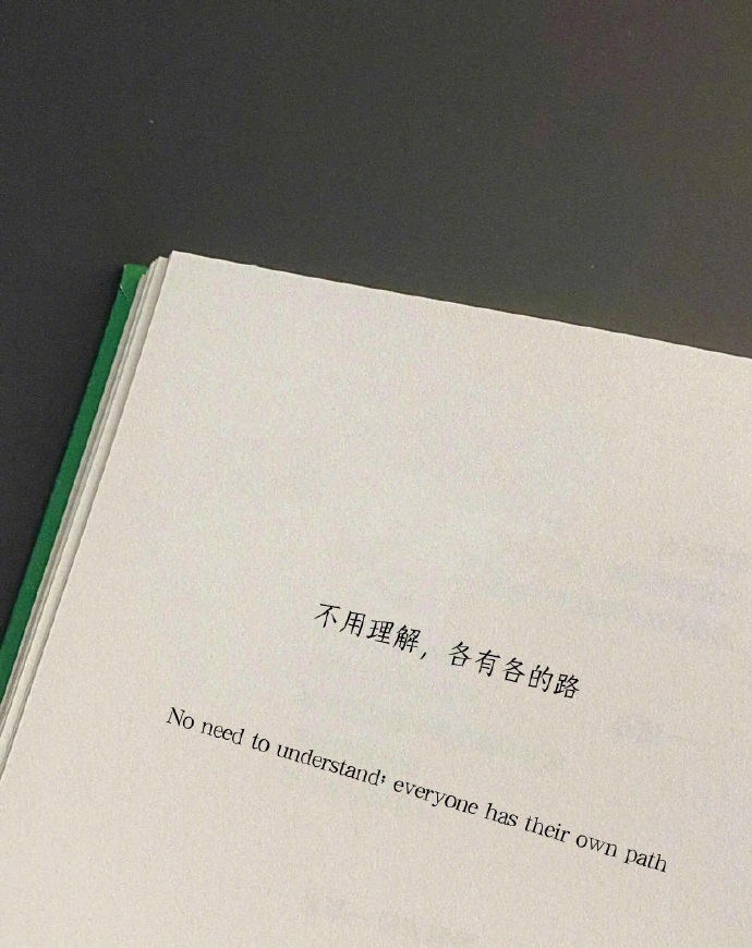“不用理解，各有各的路。” 