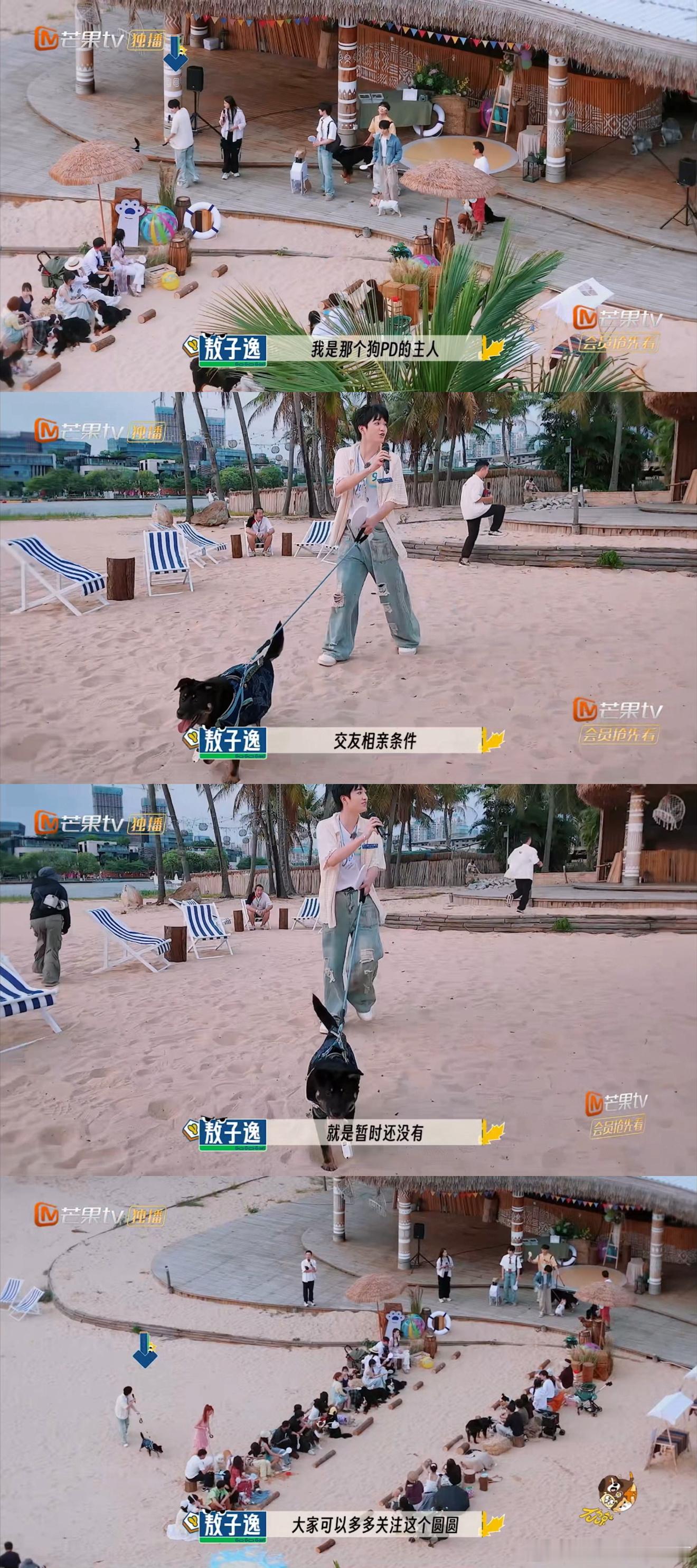 谁说内娱没有好的相亲节目 反驳！《你就宠ta吧》第二期的狗狗party就很绝，没