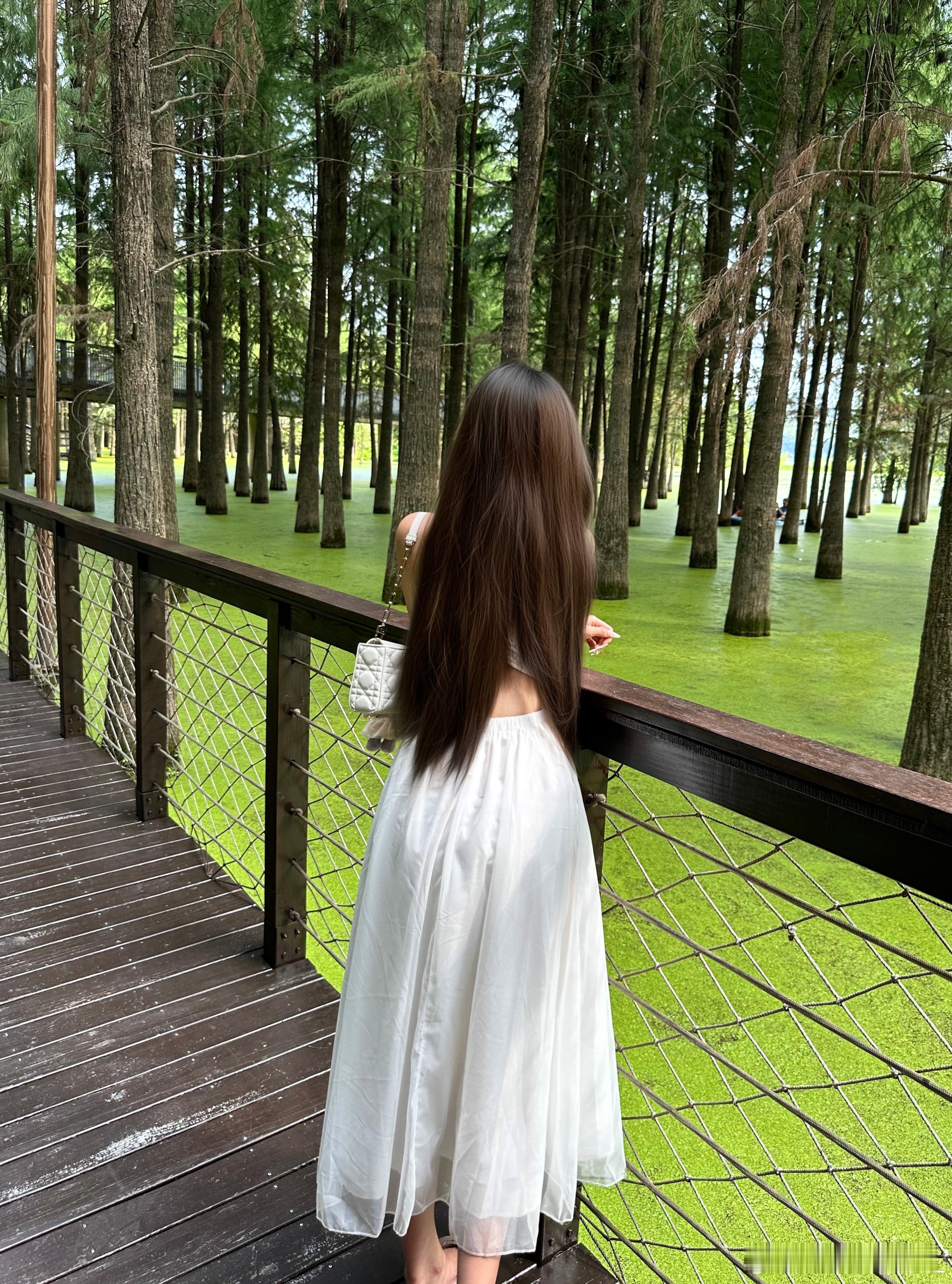 杭州真是绿野仙踪🧚（20天前的图了…  ​​​