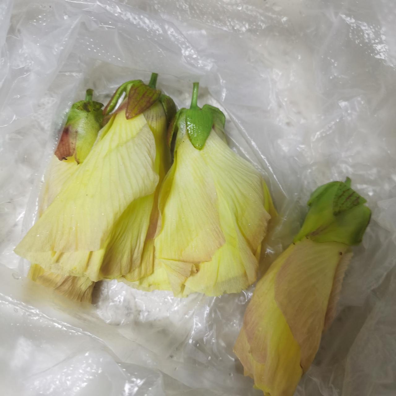 这种神奇的花朵，竟然可以吃！
熨烫味道很巴适啊！
朋友们认识这是什么吗？
饮食搭
