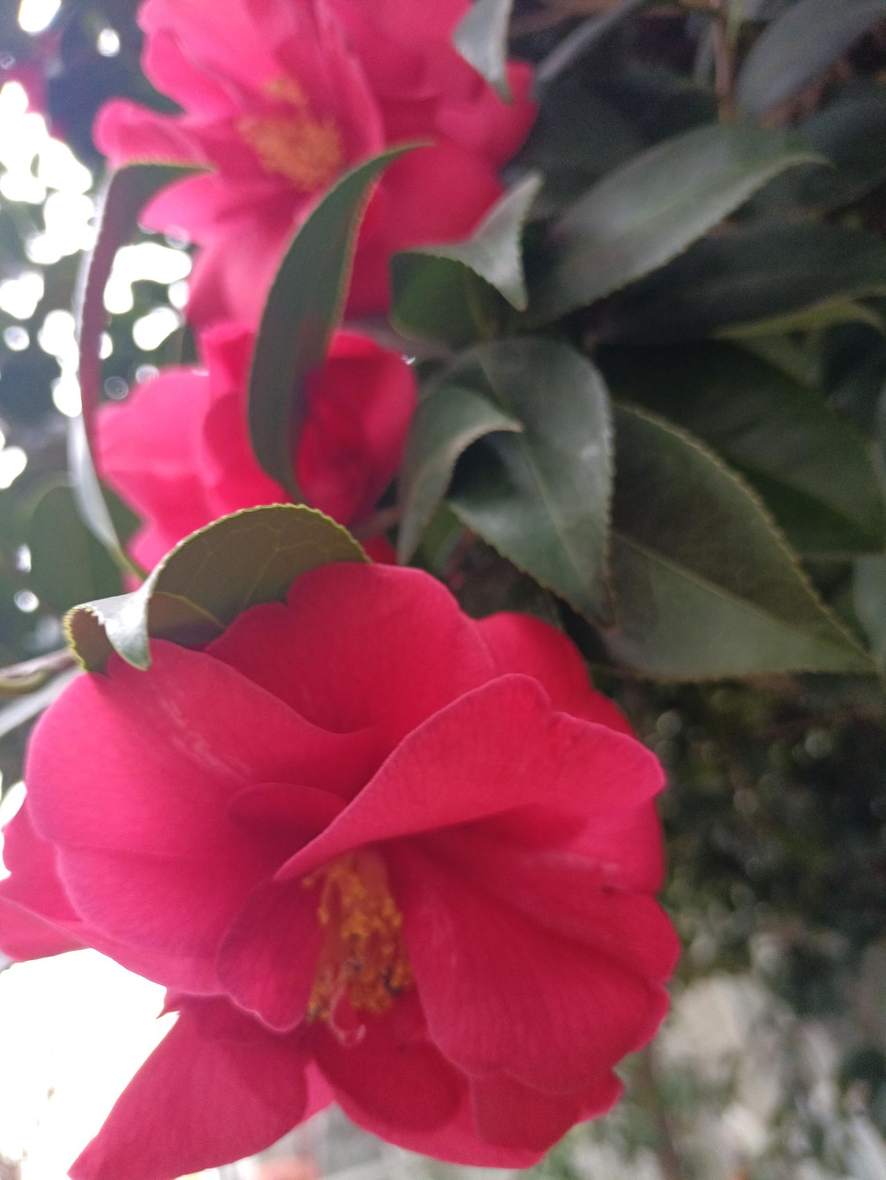 从一位农民三个转变，从初中到大专，从士兵到上校，从学者到高级研究员。