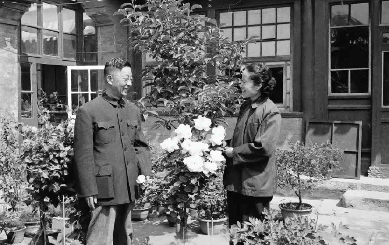 王铎：春天来了，老舍和夫人在自家院子里。