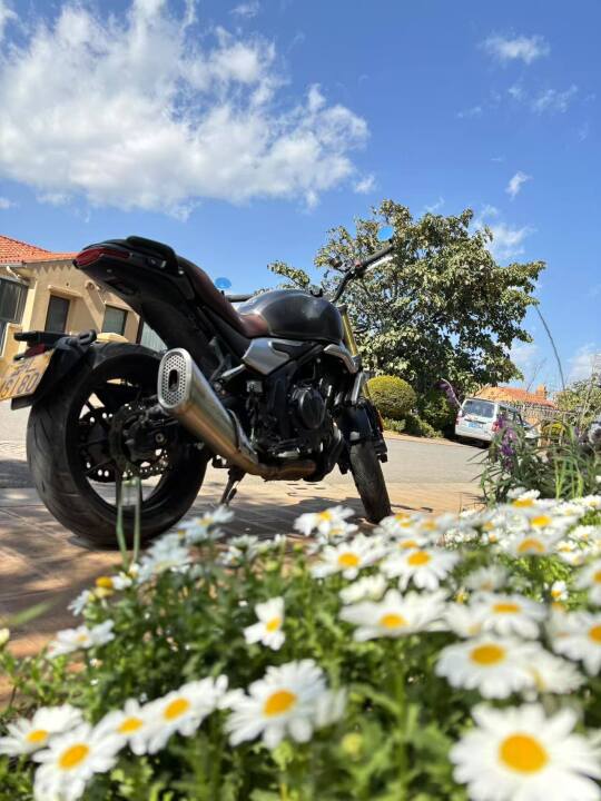 停在花丛中的机车，太美了！