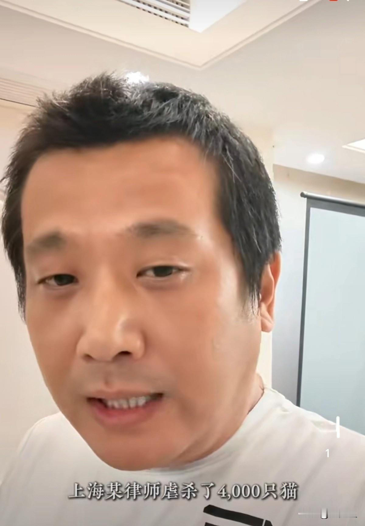 “律师虐杀4000只猫谋利”——难以置信。
律师，这个本该代表着正义与秩序的职业