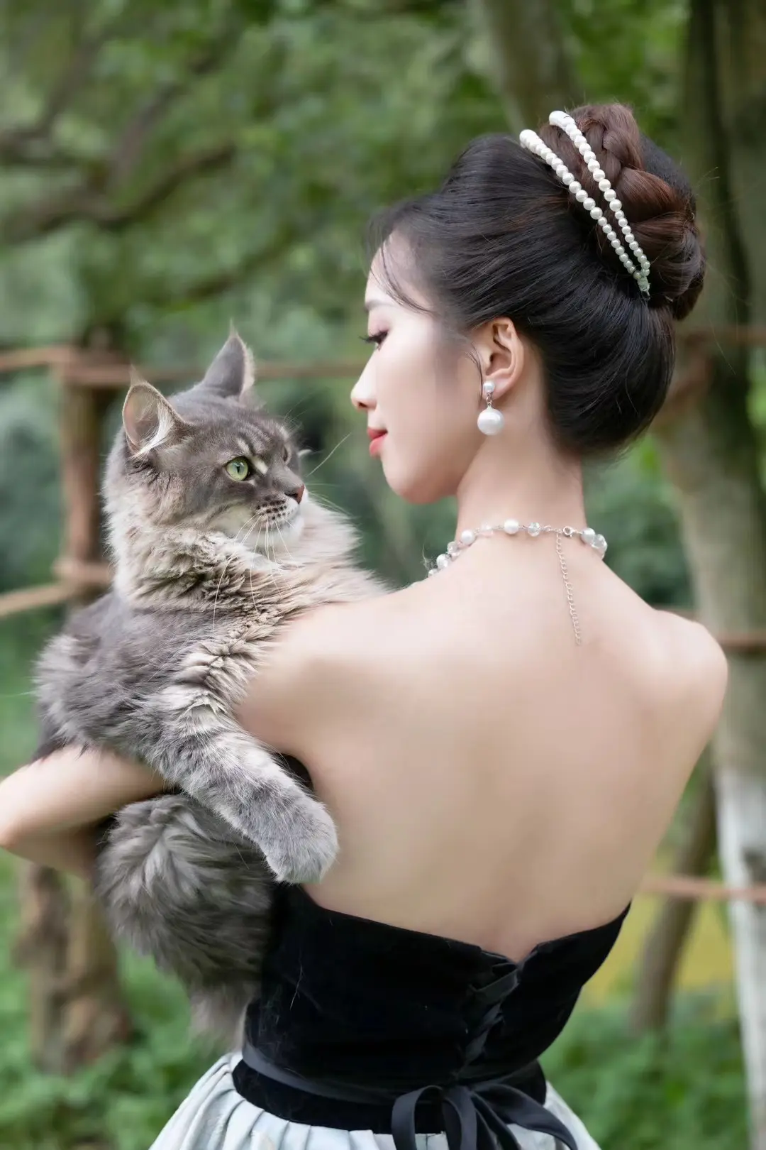 日常。选人?还是喵？缅因猫