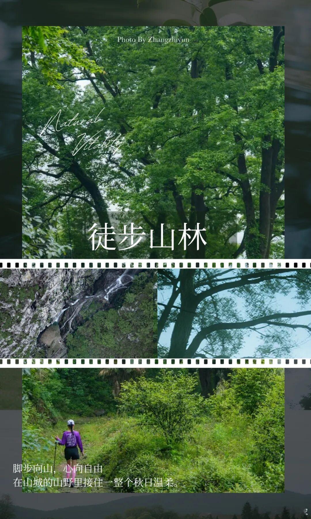 丽水莲都与全球共赴光影之约山城遂昌自带山野buff！徒步、越野、观瀑露营随心选，
