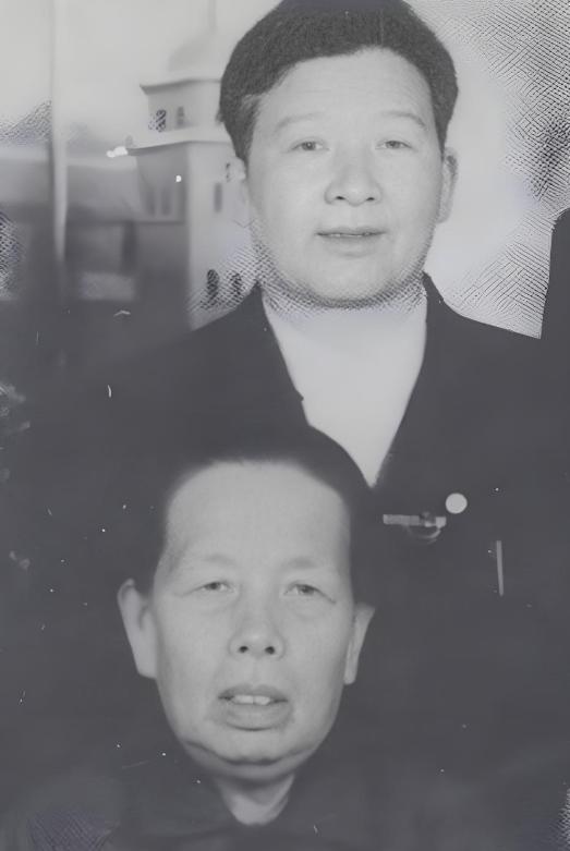 1994年，被中国收养近50年的日本遗孤赵连栋回国后，再也没有给养母打过一个电话