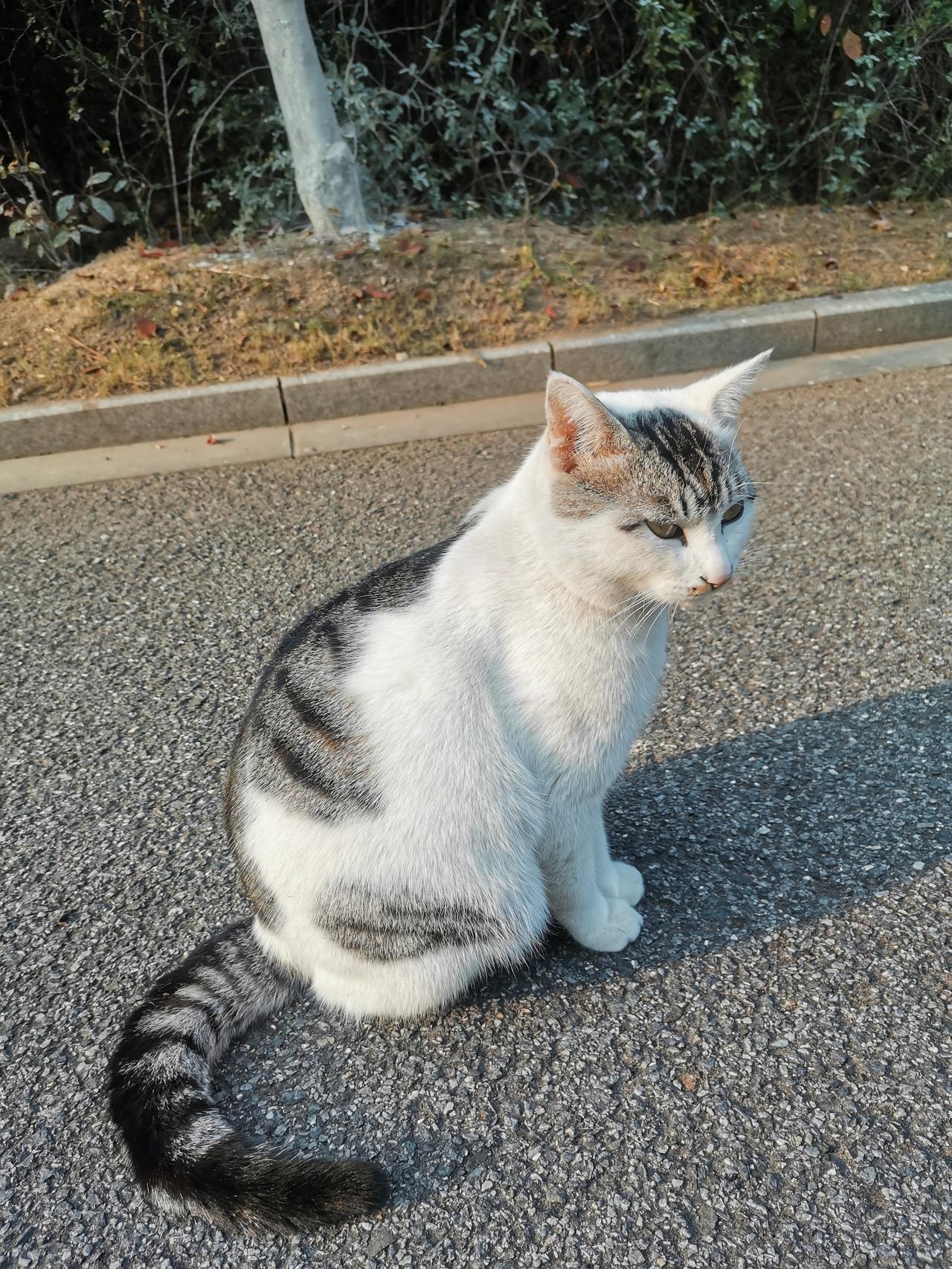 孩子青春期叛逆会离家出走，
中年老少女是不是也可以离家出走？(下)

早上，我听