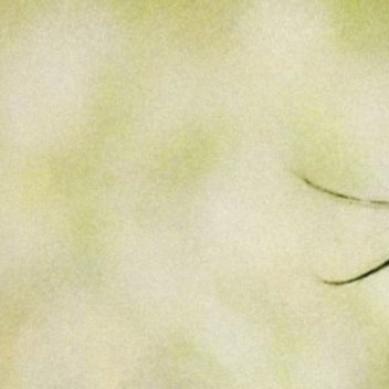 #白鹿[超话]#风敛起了时光的裙角，吹起了琐碎的流年，往事如一泓清水涌入心头。​