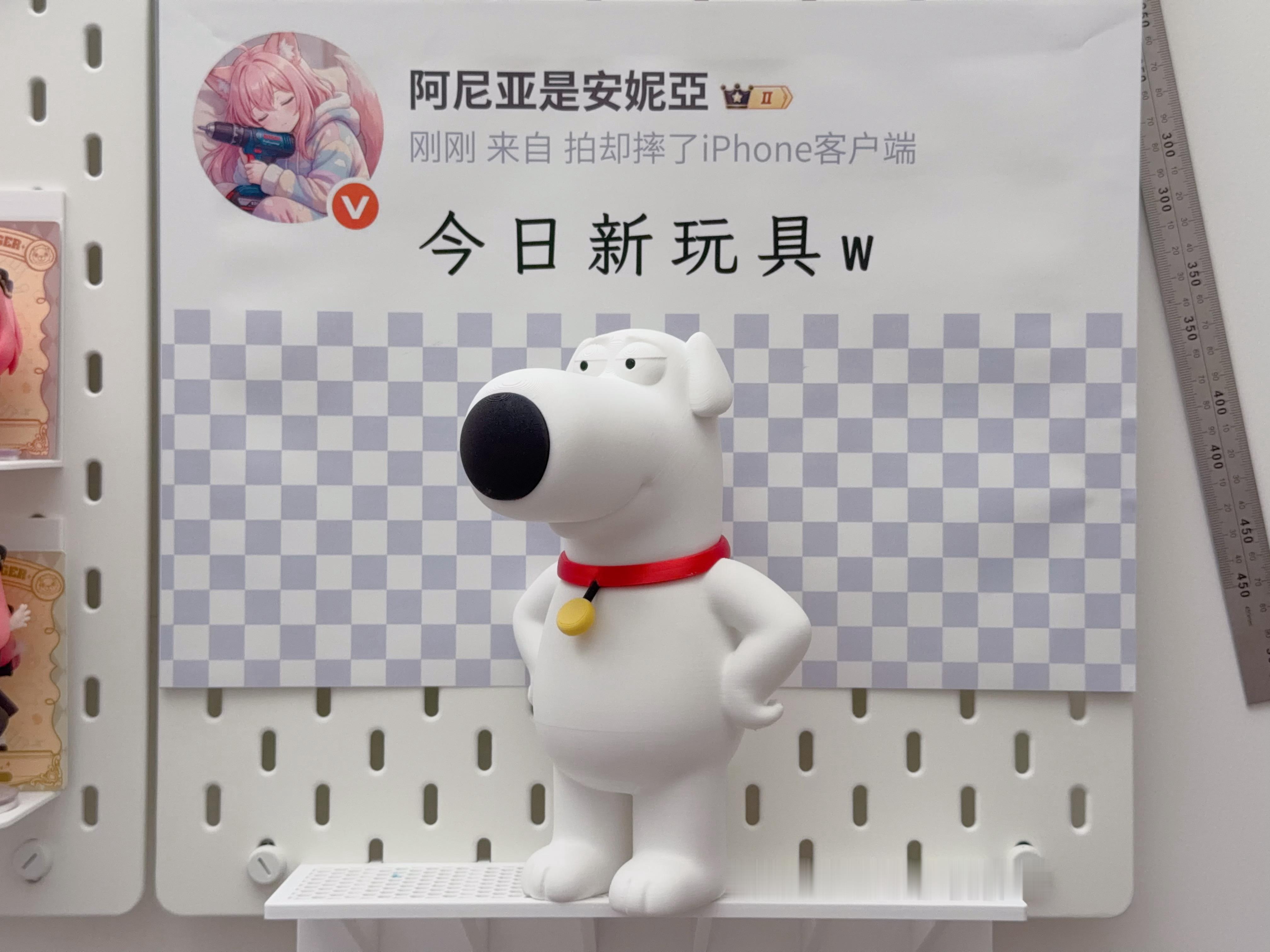 分享图片 