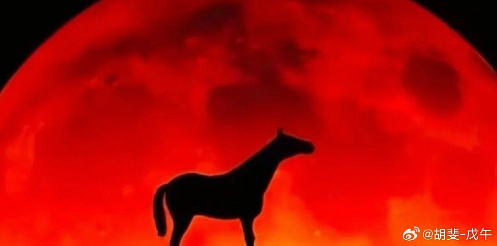 不说多了，一年弄几只疯牛票就好了。一年操作一两波行情就好了。不要贪 ​​​