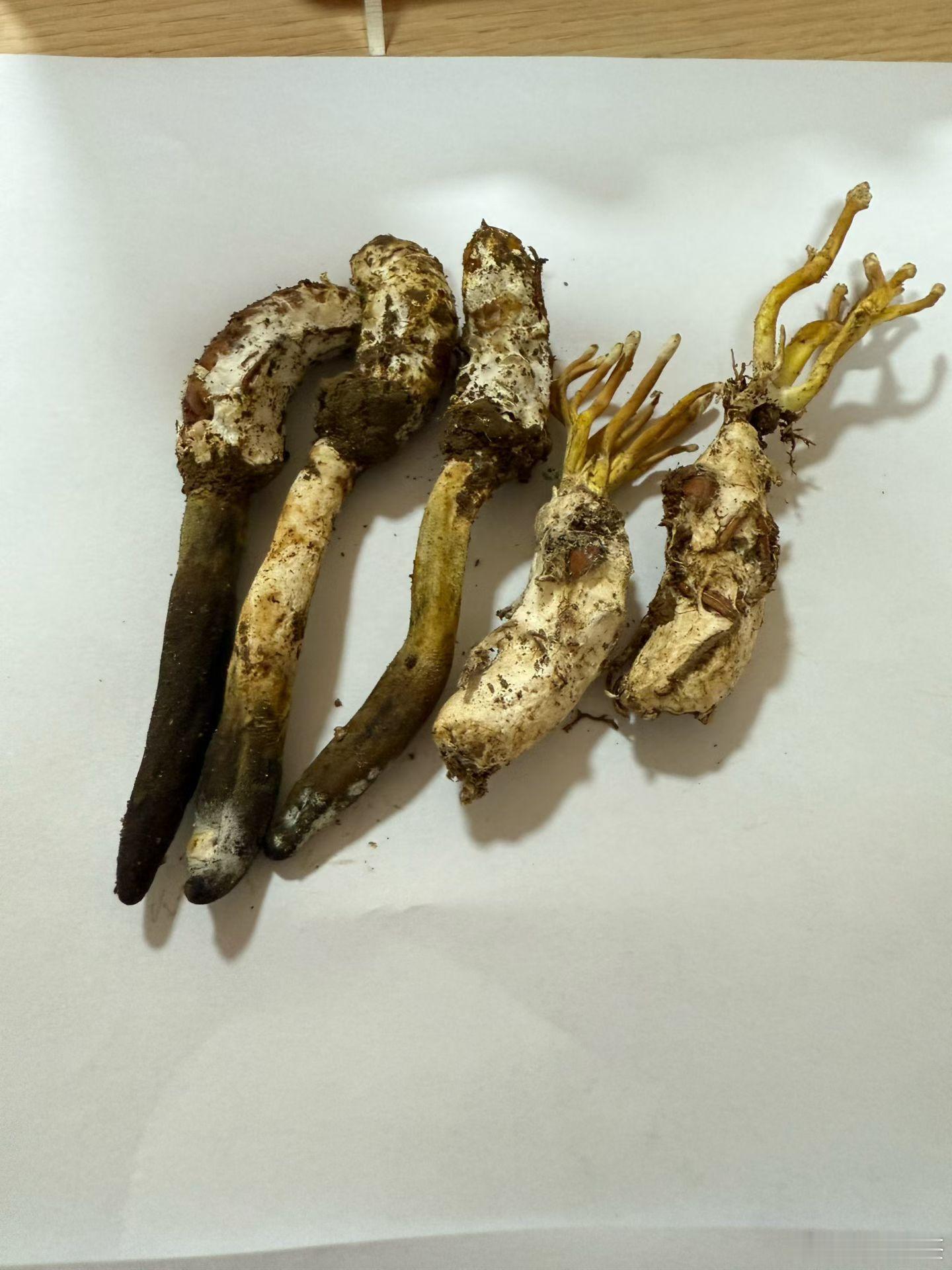 又到了进补的季节了 