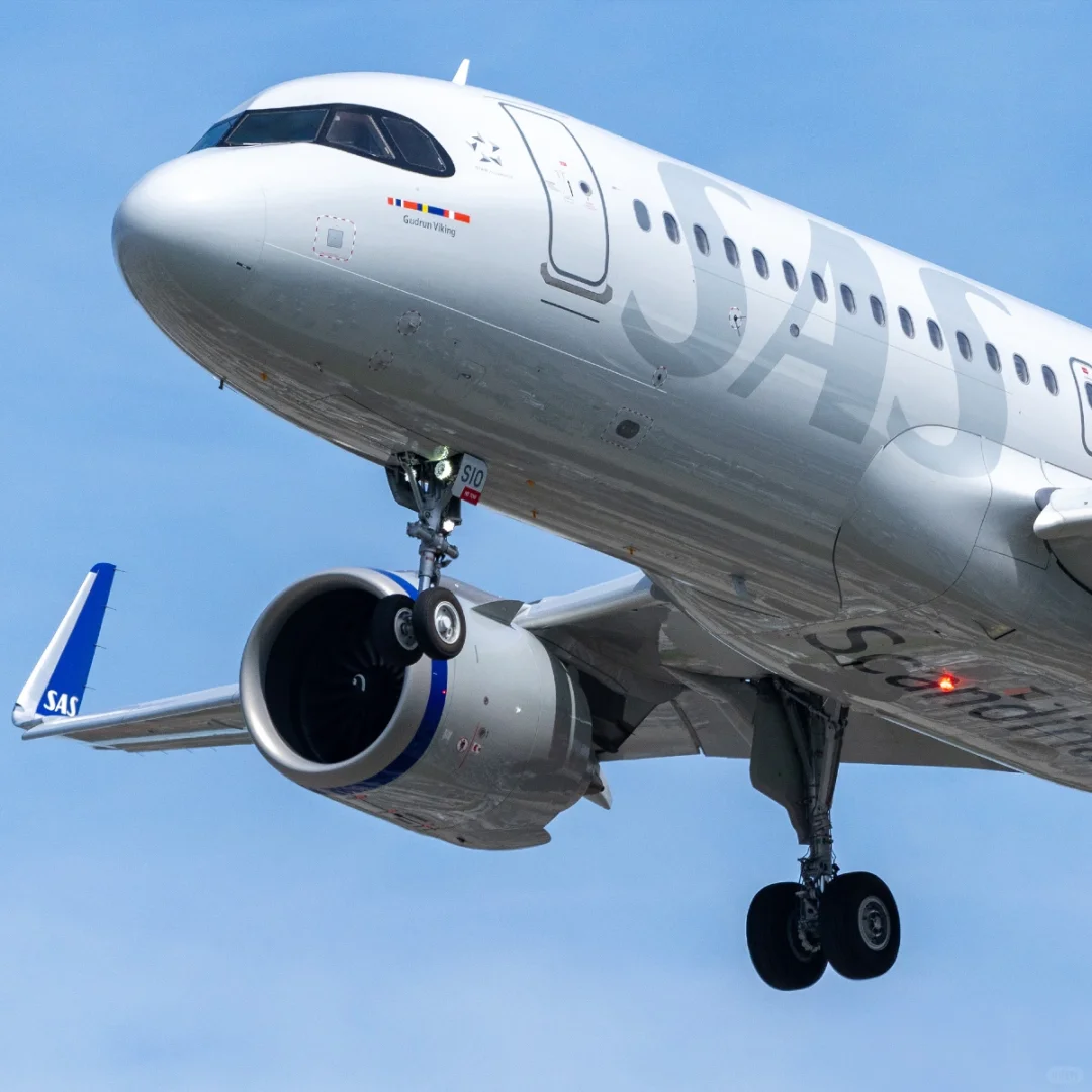 北欧航空的调色